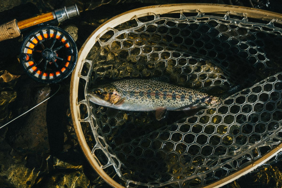 jarrett-mills-E2L2pMppR1U-unsplash